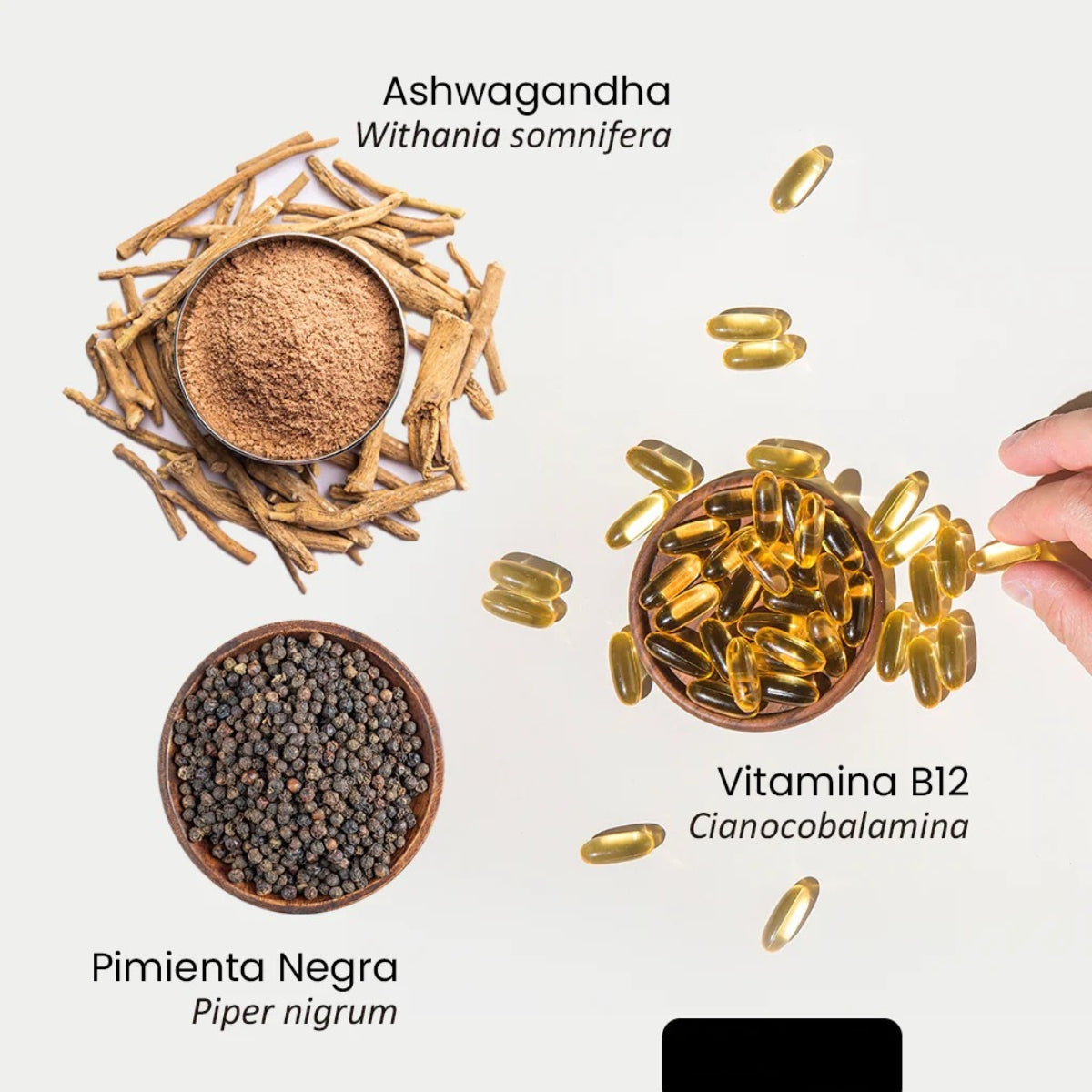 Ashwagandha 1000 mg Regula el Cortisol🌩️Alivia el estrés 🌿y la ansiedad🤯 - OFERTA ESPECIAL  SOLO ESTA SEMANA 💊